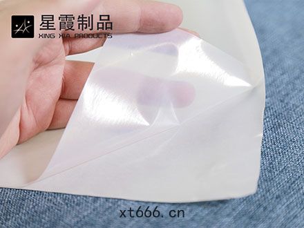 帶(dài)背紙(zhǐ)PES熱熔(róng)膠(jiāo)膜