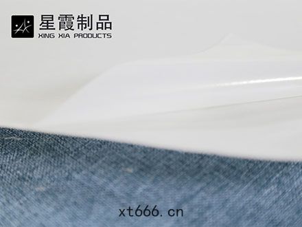 聚酯熱(rè)熔(róng)膠(jiāo)膜