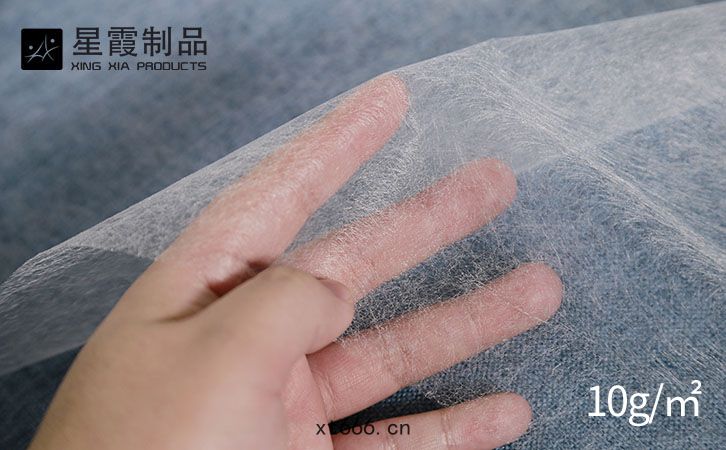 10gPA熱熔(róng)膠(jiāo)網(wǎng)膜(mó)