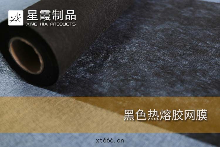 黑色(sè)PA熱熔(róng)膠網膜(mó)