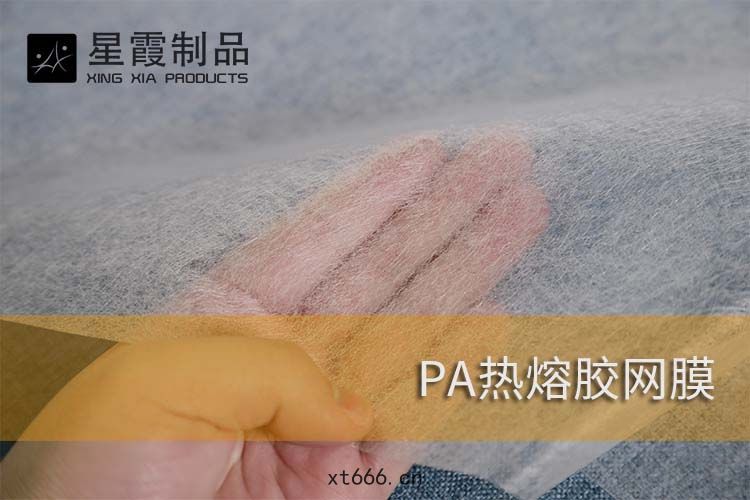 PA熱熔膠網(wǎng)膜(mó)