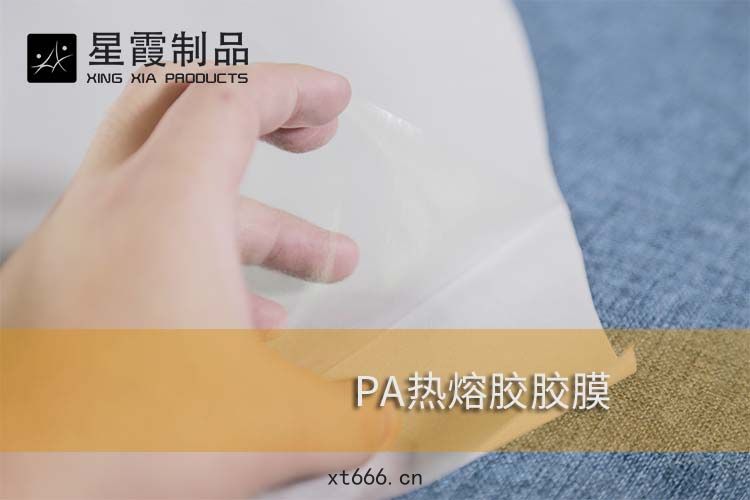 PA膠(jiāo)膜(mó)