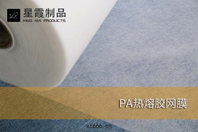 PA熱(rè)熔(róng)膠網(wǎng)膜