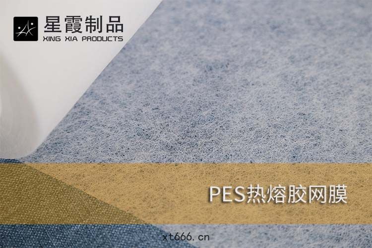 PES熱熔膠(jiāo)網膜