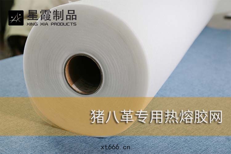 豬(zhū)八(bā)革熱熔膠(jiāo)網(wǎng)膜(mó)
