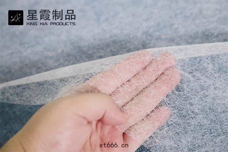PES熱熔(róng)膠(jiāo)網膜