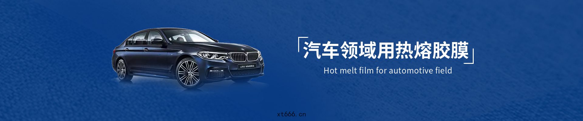汽(qì)車內飾用(yòng)熱熔膠(jiāo)膜