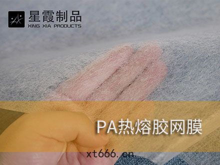 汽(qì)車腳墊(diàn)和後(hòu)備(bèi)箱地墊(diàn)用熱(rè)熔雙(shuāng)麵膠膜(mó)